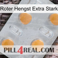 Red Stallion Extra Strong 24